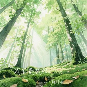 我不是武松(伴奏)