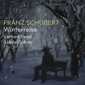 Winterreise, Op. 89, D. 911:No. 17, Im Dorfe
