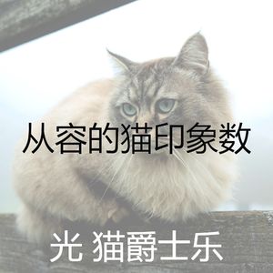 温和小猫梦想