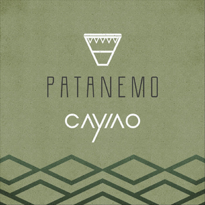 Patanemo