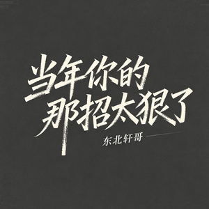 当年你的那招太狠了（这剑气迎风飞）