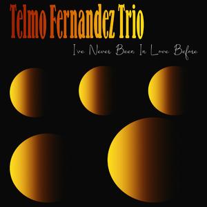 I've Never Been In Love Before