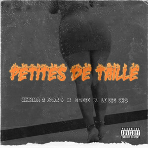 Petites De Taille