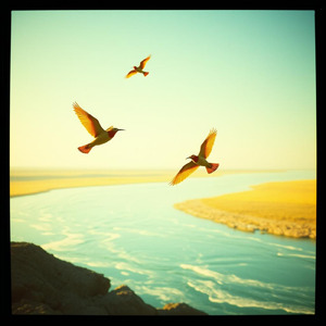 「こうあるべき」に縛られないで 答えはいつも ひとつじゃない