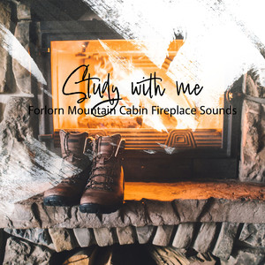 Forlorn Mountain Cabin Fireplace Sounds, Pt. 18