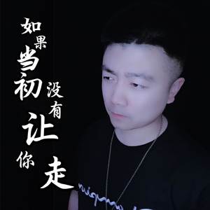 如果当初没有让你走