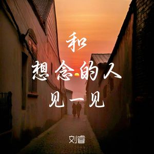 和想念的人见一见