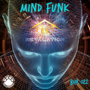 Mind Funk (Original Mix)