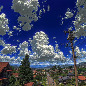 ネオンに溶けてく