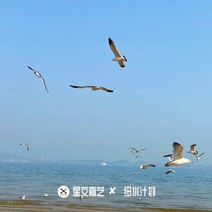 恐龙打狼扛-DJ版