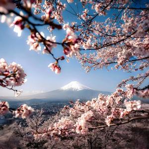 无法拥有的人要好好道别