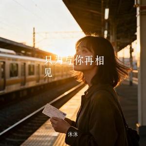 只为与你再相见 (Cover 张磊)