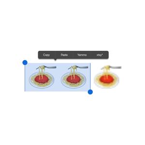 COPY N PASTA (feat. xtsy*)