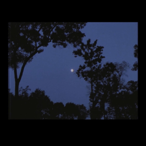 Искренности