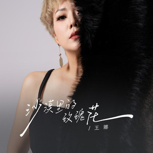 沙漠里的玫瑰花