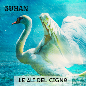 Le Ali Del Cigno