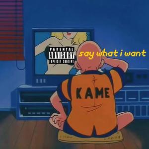 say what i want