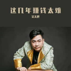 这几年好难钱难赚（DJ）