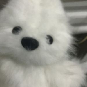 BirthdayRain(Prod.Gr33nart Beats)