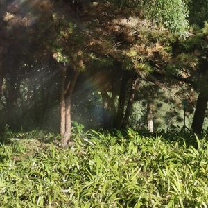 光年之外的温柔