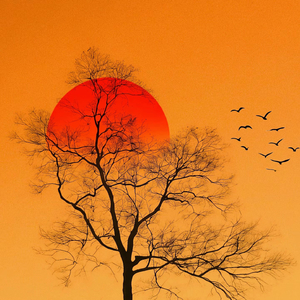 一生被命运安排