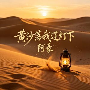 黄沙落我辽灯下