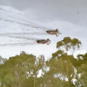 Testing My Microphone Quality For A Friend