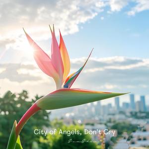 City of Angels, Don’t Cry