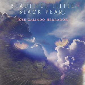 Beautiful Little Black Pearl