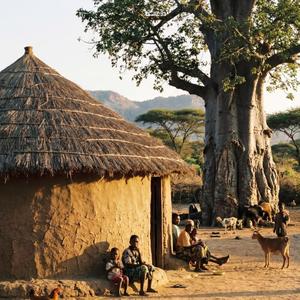 Mikono Mungu