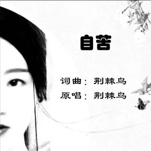 苦是你给的WAV