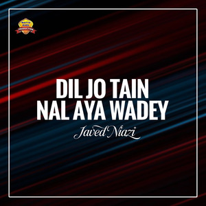 Dil Jo Tain Nal Aya Wadey