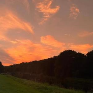 Can't Find No Job (feat. Euney)