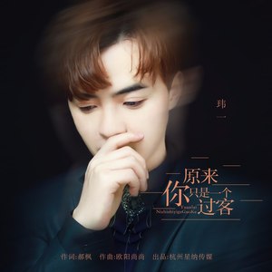 原来你只是一个过客 (DJ沈念版)