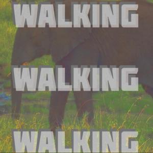 WALKING WALKING WALKING