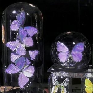 【白噪音】1h水底研究室烤火