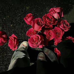 Dream Love