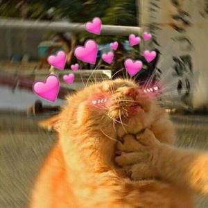 Blueming（你爱帅哥我不配）抖音版（翻自 IU）