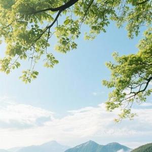 我可以忘记你 (Cover 张碧晨)