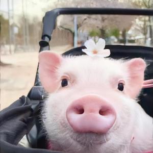 这一生关于你的风景