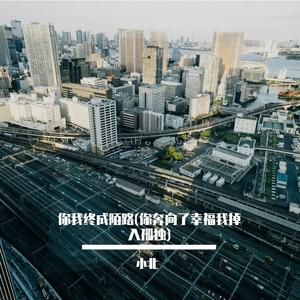 你我终成陌路(你奔向了幸福我掉入孤独)