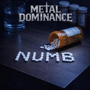 Numb (Metal Version)