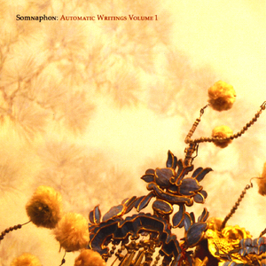 Major Arcanum VI (white)