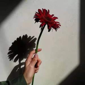 [FREE] “ 妳 像 沼 泽 ”