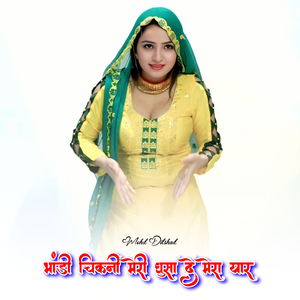 भांडी चिकनी मेरी घुसा दे मेरा यार