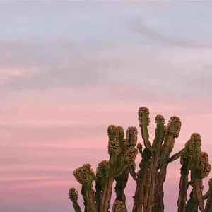 ♡ Prod by Jhythme 5