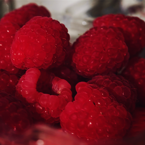 徐志摩(Prod by EVOMUSIC)