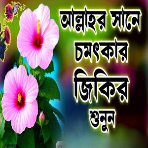 আল্লাহর সানে এই জিকির টি শুনুন মনে শান্তি পাবেন ইনশাআল্লাহ