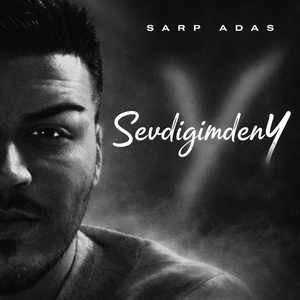 SevdigimdenY