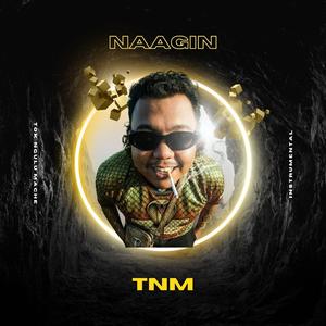 NAAGIN BEAT